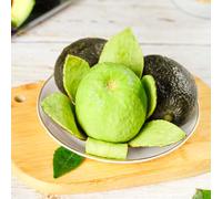 semi di avocado, vasi per piante facili da piantare piante per luoghi soleggiati resistente standard, giardino fiorito frutto colonnare resistente, semi di albero frutti colonnari, 3pcs