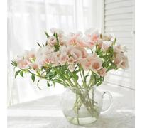 Semi di azalea estiva - per luoghi soleggiati Clarkia amoena - decorazione floreale da esterno resistenti d'appartamento da giardino roccioso 60pcs