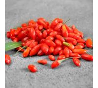 semi di bacche di Goji, colonnari, semi balcone vecchie varietà frutteto colonnari acquistare 80pcs