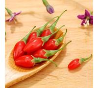 semi di bacche di Goji, giardino vecchie varietà semi giardino arbusti acquistare raro esotico per giardinieri 90pcs