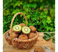 semi di bacche di kiwi - balcone biologici vecchie varietà rampicanti resistenti appartamento 100pcs