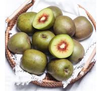 semi di bacche di kiwi - colonnare del giardino rialzata da balcone 200pcs