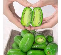 semi di bacche di kiwi - esotiche aiuole rialzate giardino biologici balcone 500pcs