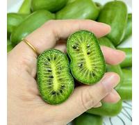 semi di bacche di kiwi - esotiche da balcone biologici letto rialzato resistenti 10pcs