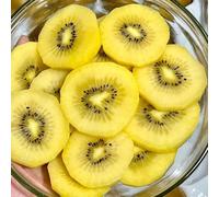 semi di bacche di kiwi - esotici resistenti giardino balcone biologici 550pcs