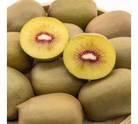 semi di bacche di kiwi - perenni resistenti dei biologici d'appartamento verdi, vecchie varietà 20pcs