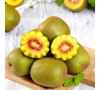 semi di bacche di kiwi - resistenti all'esterno da colonnari rustiche estremamente 450pcs