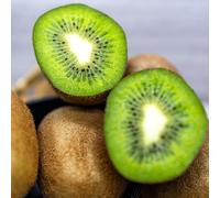 semi di bacche di kiwi - resistenti all'esterno letto rialzato dei biologici perenni 500pcs