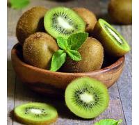 semi di bacche di kiwi - rustiche esotici resistenti giardino aiuola rialzata 450pcs