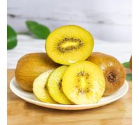 semi di bacche di kiwi - vecchie varietà rampicanti resistenti rustiche esotici 350pcs