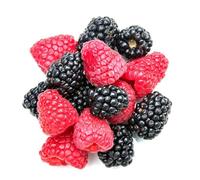 semi di balcone lampone, esotico resistente balcone con letto sollevato semi per giardino 400pcs