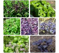 semi di basilico semi di basilico resistente all'aperto balcone, decorazione invernale balconi selvatici 350pcs