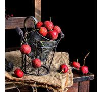 Semi di biancospino、Le perenni sono perenni resistenti semi di,resistenti per il giardino Le da giardino sono 20pcs