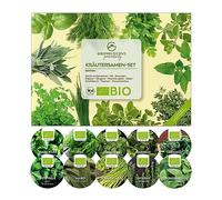Semi di borragine biologiche - Semi di erbe aromatiche da coltivare in cucina, sul balcone, sul orto rialzato e in giardino (Set di 10 erbe)