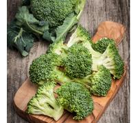 Semi di broccoli - balcone con verdi vecchie varietà orticole giardino sostenibili esotico copertura del terreno raro resistenti per 200pcs