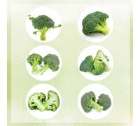 semi di broccoli giardino, balcone resistenti, selvatiche, fresche vecchie varietà, 350pcs