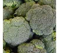 Semi di broccoli - resistenti esotico verdi giardino balcone con raro resistenti per giardini rocciosi semi di antiche varietà 1100pcs