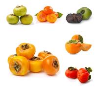 Semi di cachi - di cachi da giardino roccioso vecchie varietà da frutto per luoghi soleggiati serre balcone frutto frutteto comprare esotico balcone 25pcs