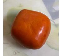 Semi di cachi - di cachi per gli amanti del giardino da frutto da giardino roccioso frutto colonnare colonnari nani, resistenti 15pcs