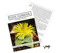 Semi di cactus esotici ad alto tasso di germi - Set di semi di piante grasse per il vostro cactus meravigliosamente fiorito.