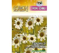 SEMI DI CAMOMILLA- FIORI EDIBILI - FRANCHI SEMENTI - SEMENTI SELEZIONATE GLFE 18/2 BUSTINA GR 4