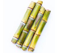 semi di canna da zucchero balcone resistente resistenti per giardino, semi colonnari balcone 10pcs