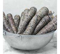 semi di carota balcone - giardino tappezzanti da appartamento esotiche roccioso da resistenti biologici 300pcs