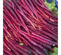 Semi di carota biologici, carota, da orto, sementi biologiche Daucus esotiche balcone resistenti carote 50pcs