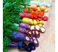 semi di carota biologici giardino fresche vecchie varietà esotiche 200pcs