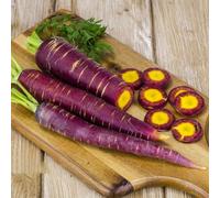 Semi di Carota,da Interno,per Luoghi Soleggiati,Verdi 100pcs