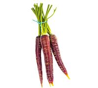 semi di carota - decorazioni di giardino di per esterni semi balcone resistenti balcone con letti 65pcs