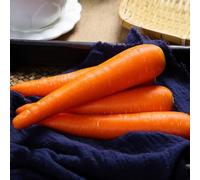 Semi di Carota,Regali per Amanti del Giardino,Regalo da Giardino,Resistenti all’Esterno 200pcs