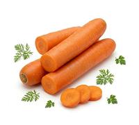 Semi di Carota Saint Valery 6g | Varietà Lunga e Rustica | Semi da Orto Alta Germinazione | Ideale per Semina Autunnale e Primaverile | Carote Dolci e Croccanti | Made in Italy