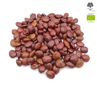 Semi di carruba biologica greca 460 grammi | Ceratonia Siliqua di classe A