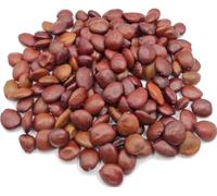Semi di Carruba Biologici Greci 40g - 1.95Kg Ceratonia Siliqua (40 grammi)