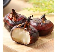 Semi di castagna d'acqua - semi di da balcone frutteto resistenti da frutto aromatiche giardino sostenibili giardino sul 90pcs