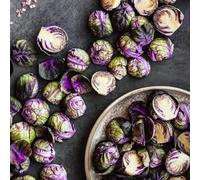 Semi di cavoletti di Bruxelles biologici - resistenti giardino inverno balcone decorazione 30pcs