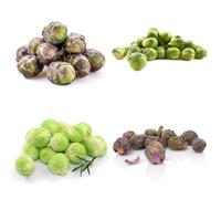 Semi di cavoletti di Bruxelles biologici, resistenti per il giardino di vecchi da giardino, 30pcs