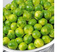 semi di cavoletti di Bruxelles - invernali appartamento regali giardino balcone biologiche antiche varietà 80pcs