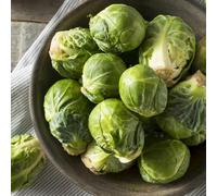 Semi di cavoletti di Bruxelles resistenti per il giardino vecchie varietà invernali rare 150pcs