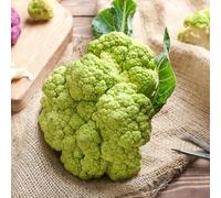 Semi di cavolfiore - vecchie varietà aromatiche da giardino giardino sul balcone resistenti semi di per gli amanti del esotico 300pcs