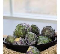 semi di cavolini di Bruxelles decorazioni giardino per esterni vecchie varietà rara decorazione copertura del terreno Aiuole rialzate per il giardino biologico 250pcs