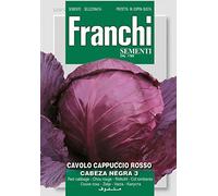 SEMI DI CAVOLO CAPPUCCIO ROSSO TESTA NERA 3 FRANCHI SEMENTI