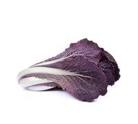 Semi di cavolo cinese - semi di giardino resistente pietre semi giardino interno resistente per cavolo cinese esotico 800 pezzi