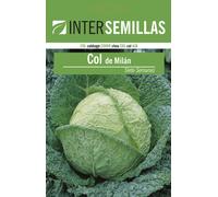 Semi Di Cavolo Milano Sette Settimane In Busta Originale Certificati Verdure