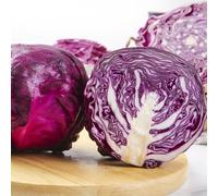 semi di cavolo rosso biologico vecchie varietà d'appartamento esotiche Aiuole rialzate per il giardino balcone con interna decorazioni giardino per 300pcs