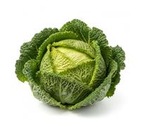 Semi di Cavolo Verza d’Asti San Giovanni 6g | Varietà Invernale Rustica e Resistente | Semi Orto Alta Germinazione | Ideale per Coltivazione in Orto e Giardino | Raccolto Abbondante