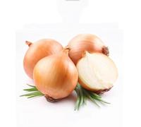 semi di cebolla resistenti biologici esotici resistenti balcone per il giardino 120pcs