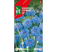 Semi di Centaurea Blu - Fiordaliso - Fioritura in Campagna - Colore Blu - Fiore Reciso Ideale per Bouquet