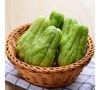 Semi di chayote esotico semi di raro giardino orticole vecchie varietà balcone con antiche varietà verdi giardino 65pcs